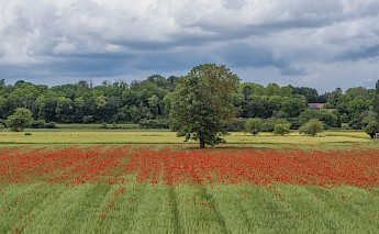 Loire Valley, France. Pass Horizon@Unsplash