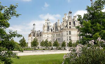 Viewing Chambord Castle through trees, France. Dorian Mongel@Unsplash
