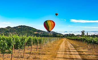 Hot air balloons over the Napa Valley, California, USA. Judd Brotman@iStock