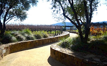 A scenic view of a Napa Valley vineyard with a winding path lined by stone walls, trees, and grassy areas.