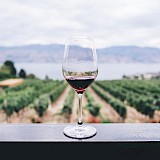 Glass of wine with a vineyard in the background. Kym Ellis@Unsplash