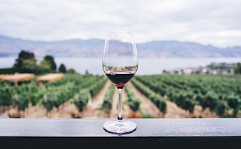 A glass of red wine on a table, overlooking a vineyard with distant hills.