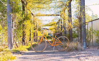 An orange bike is parked on a path lined with green and yellow foliage in a vineyard.