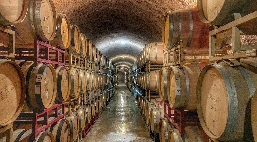 Wine cellar, California. Jim Harris@Unsplash