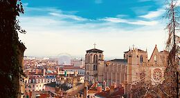 Compact Lyon E-Bike Tour