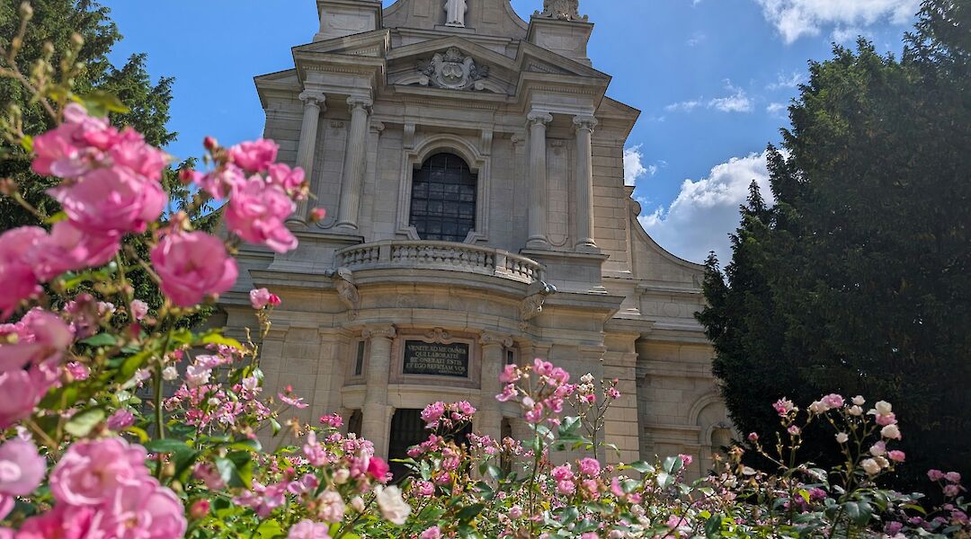 Pink flowers in Croix-Rousse, Lyon. Unsplash@Carnet de Voyage d'Alex