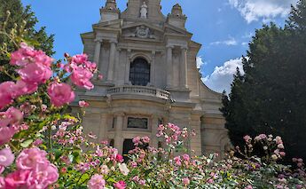 Pink flowers in Croix-Rousse, Lyon. Unsplash@Carnet de Voyage d'Alex
