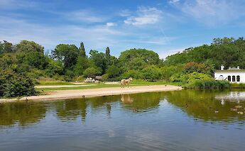 Zebra sculpture by the lake in the Parc de la Tête d'Or, Lyon. Unsplash@John Disandolo