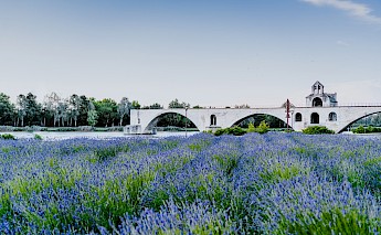Pont d'Avignon, Avignon, France. Xuan Nguyen@Unsplash
