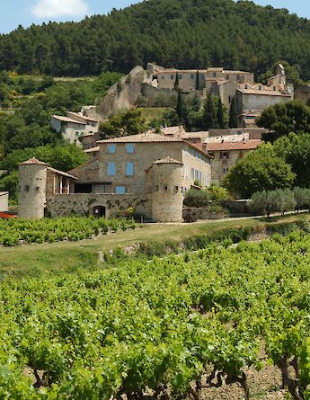 A picturesque village in Provence, France, featuring traditional stone buildings with terracotta roofs nestled on a hillside surrounded by lush vineyards and forested hills.