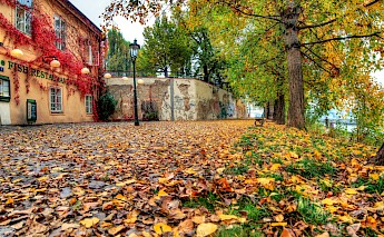Fall at Kampa Park, Prague, czech Republic. Thomas Depenbusch@CC