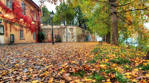 Fall at Kampa Park, Prague, czech Republic. Thomas Depenbusch@CC