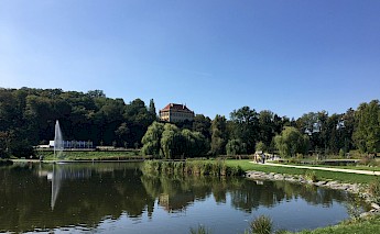 Lake in Stromovka Park, Prague, Czech Republic. Martin Kopta@unsplash