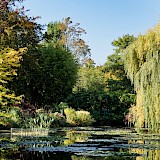 Lily pond at Monet's garden, giverny, France. Baptiste Riffard@unsplash