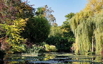 Lily pond at Monet's garden, giverny, France. Baptiste Riffard@unsplash
