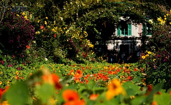 Garden in focus, Monet's Gardens, Giverny, France. Baptiste Riffard@unsplash