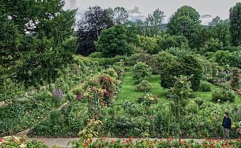 Elevated point of view, Monet's Gardens, Giverny, France. Pascal Bernardon@unsplash