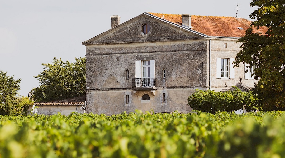 Vineyard, Chateau, Medoc, France. Jonathan Farber@unsplash