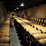 Wine barrels at Chateau Kirwan, Medoc, France. Jon@wikimedia commons