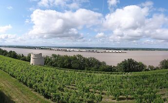 Gironde, Medoc, France. Havang(nl)@Wikimedia Commons