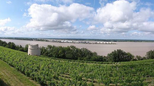 Gironde, Medoc, France. Havang(nl)@Wikimedia Commons