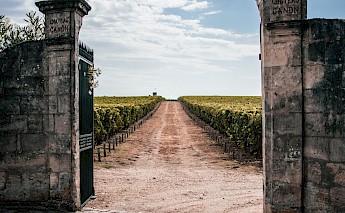 Chateau Canon, Saint-Emilion, France. Omar Sotillo Franco@unsplash