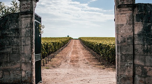 Chateau Canon, Saint-Emilion, France. Omar Sotillo Franco@unsplash