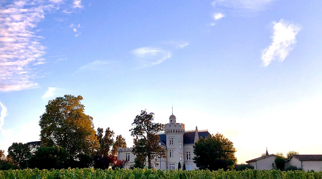 Chateau, winery, Saint-Emilion, France. Angell Guillen@unsplash