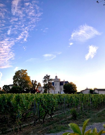 Chateau, winery, Saint-Emilion, France. Angell Guillen@unsplash
