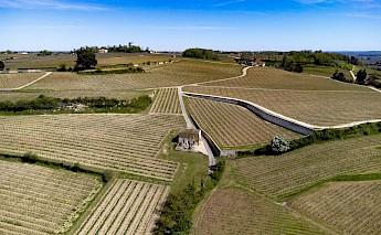 Vineyards, Saint-Emilion, France. Grant van Cleemput@unsplash