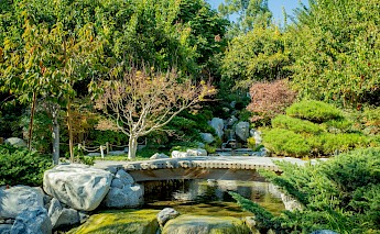 Japanese Friendship Garden, Balboa Park, San Diego, California. April Vasquez@Unsplash