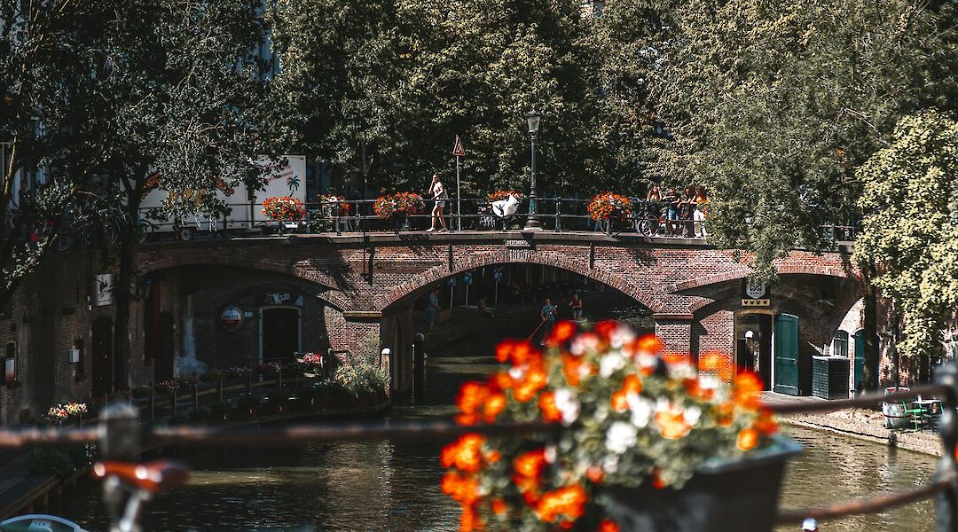 Flowers on a bridge in Utrecht, Utrecht bike tour, Holland. Matt Mutlu@Unsplash