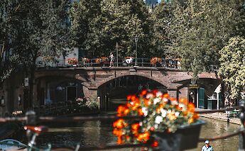 Flowers on a bridge in Utrecht, Utrecht bike tour, Holland. Matt Mutlu@Unsplash