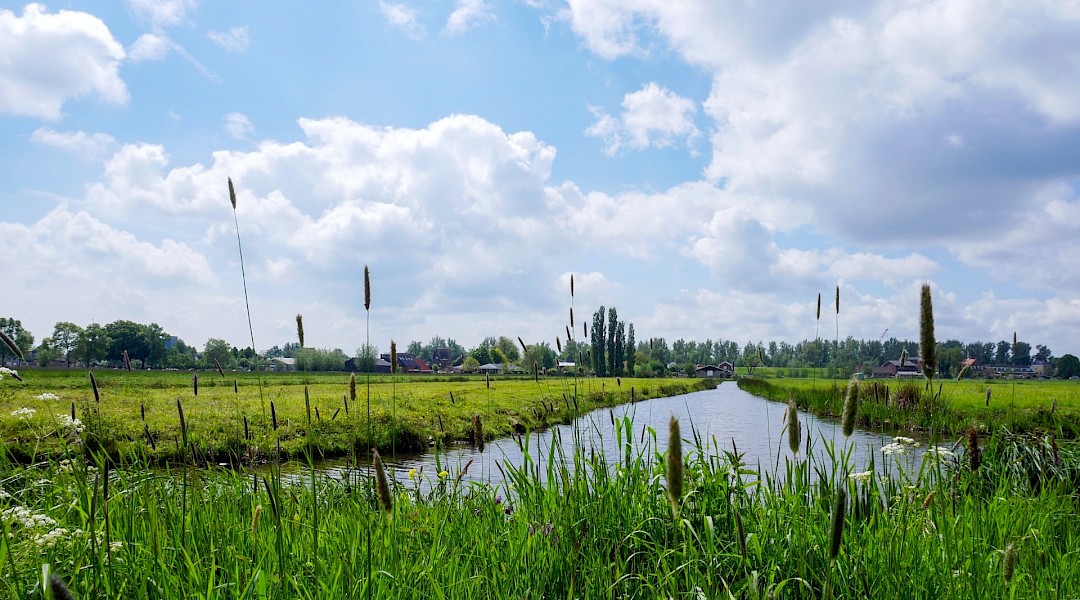 Canals in the countryside of Utrecht, Holland. Daniela Paola Alchapar@Unsplash