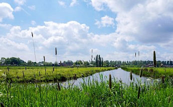 Canals in the countryside of Utrecht, Holland. Daniela Paola Alchapar@Unsplash
