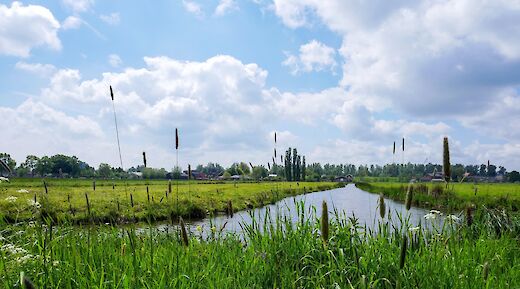 Canals in the countryside of Utrecht, Holland. Daniela Paola Alchapar@Unsplash