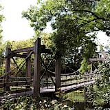 A bridge in a park in Utrecht, Holland. Margaret Polinder@Unsplash