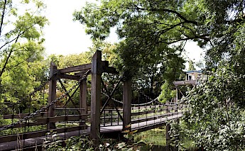 A bridge in a park in Utrecht, Holland. Margaret Polinder@Unsplash