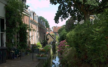 Beautiful flowers, backyard, Maarssen, Utrecht, Holland. Jan dijkstra@Wikimedia Commons