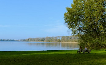 A bench in an open field in Maarssen, Utrecht, Holland. Ivan Ostric@Unsplash