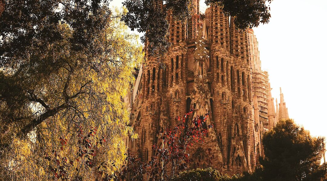 La Sagrada Familia behind trees, Barcelona, Spain. Cristina Gottardi@Unsplash