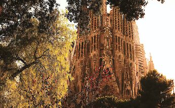 La Sagrada Familia behind trees, Barcelona, Spain. Cristina Gottardi@Unsplash