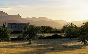 Random farm house in Palma de Mallora, Spain. Alex Kulikov@Unsplash