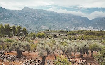 Hillside view, Palma de Mallorca, Spain. Eugene Zhyvchik@Unsplash