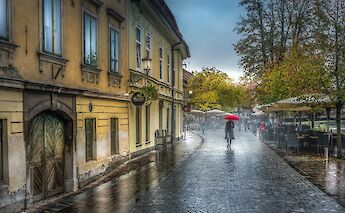 Rain in autumn, Ljubljana, Slovenia. Tadej Turk@Unsplash