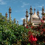 Top of the Royal Pavilion, Viewed from the garden, Brighton, England. Maciek Wróblewski@Unsplash