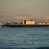 Beautiful sunlit Brighton Palace Pier, Brighton, England. Leon Z@Unsplash
