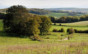 South Downs, Sussex, England. Mark@Flickr
