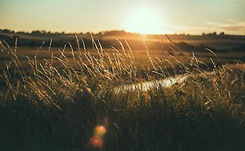 Sunset on the South Downs, Sussex, England. Joseph Pearson@Unsplash