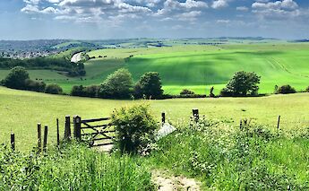 Wood and wire fence, South Downs, Brighton, England. Jens Holm@Unsplash